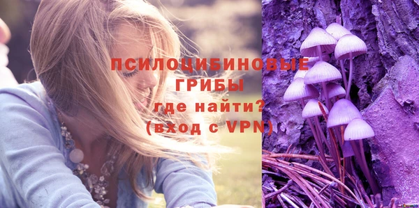 альфа пвп Надым