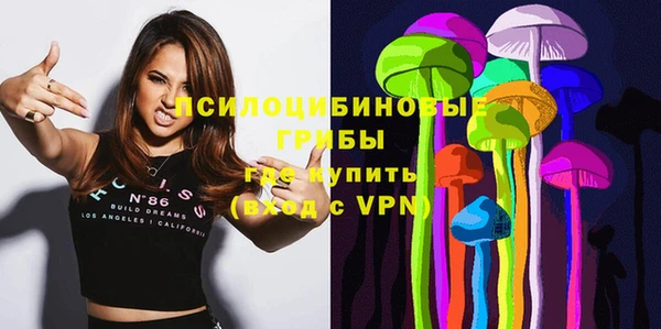 альфа пвп Надым