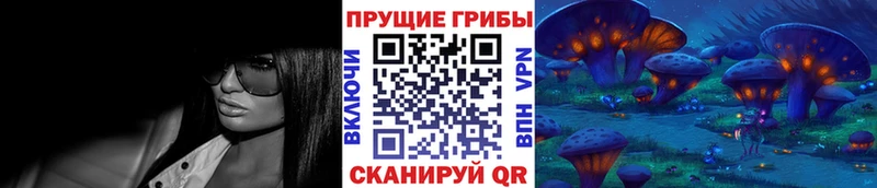 Псилоцибиновые грибы Psilocybine cubensis  Шумерля 