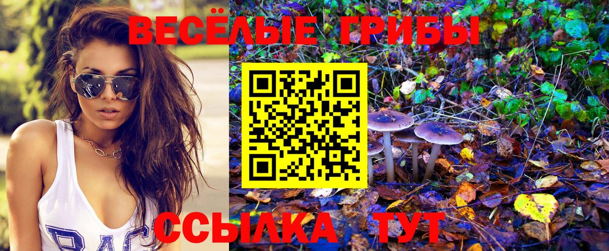 Псилоцибиновые грибы GOLDEN TEACHER Шумерля