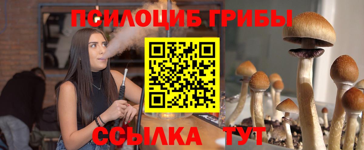 Псилоцибиновые грибы Magic Shrooms Шумерля