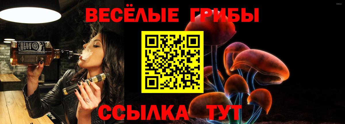 хочу наркоту  Галлюциногенные грибы GOLDEN TEACHER  Вход с VPN  Шумерля  Псилоцибиновые грибы мицелий 